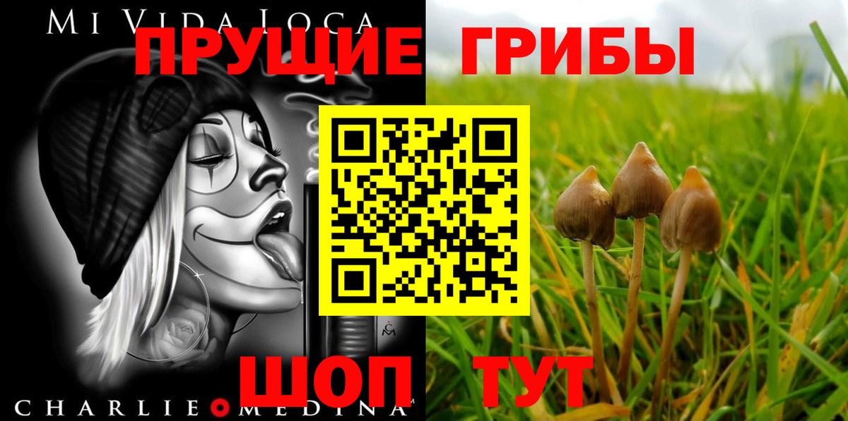 Избербаш  Галлюциногенные грибы Psilocybine cubensis  Галлюциногенные грибы GOLDEN TEACHER  Вход с VPN 
