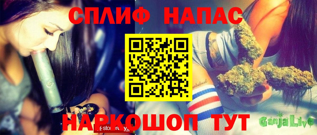 Каннабис семена Избербаш